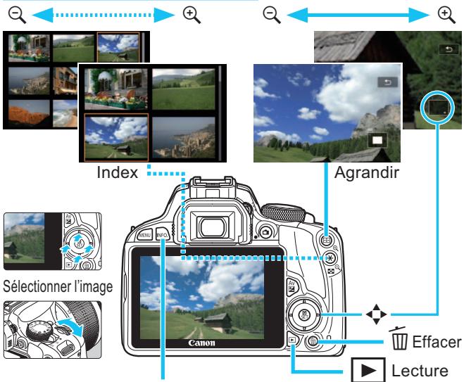 CANON EOS 250D - Lecture des images - 1