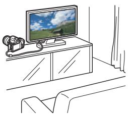 CANON EOS 250D - Lecture sur un téléviseur - 1