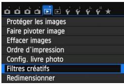 CANON EOS 250D - Traitement des images - 2