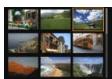 CANON EOS 250D - Affichez l'image. - 4