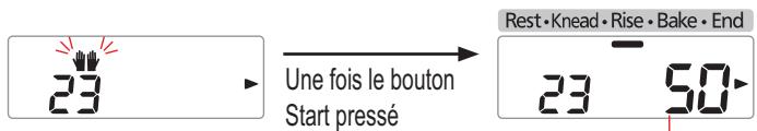 PANASONIC SD-BH104 - Ajouter le beurre supplémentaire quand le signal sonore retentit, puis appuyez de nouveau sur le 'Start' (Marche). - 1