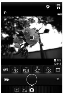 PENTAX K-1 MII  -  K-1 MARK II - Écrans delimage Sync - 4