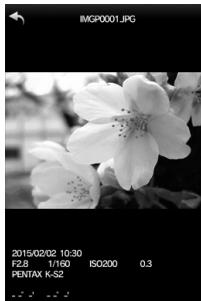 PENTAX K-1 MII  -  K-1 MARK II - Visualisation d/images - 2