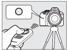 NIKON D850 - Prenez la photo. - 1