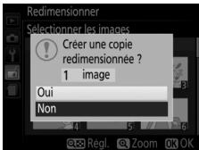 NIKON D850 - Enregistrez les copies redimensionnées. - 2