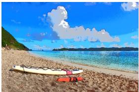 NIKON D850 - Illustration photo - 1