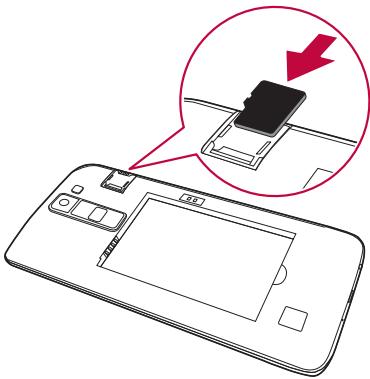 LG 0168 - Remarque - 1