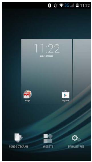 LOGICOM L-EMENT 403 - Utilisation des menus options - 1