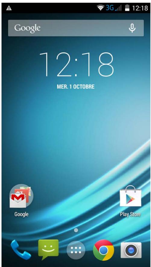LOGICOM L-EMENT 403 - Descriptif de l'écran d'accueil - 1