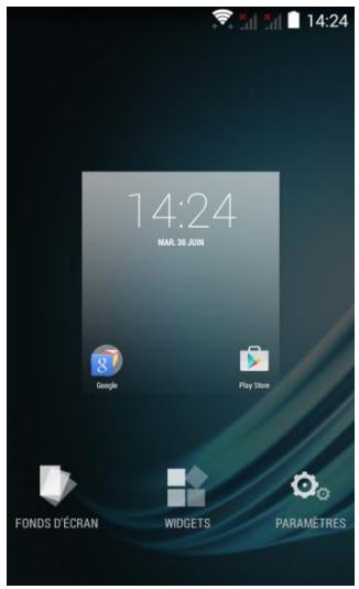 LOGICOM HELLO - Utilisation des menus options - 1