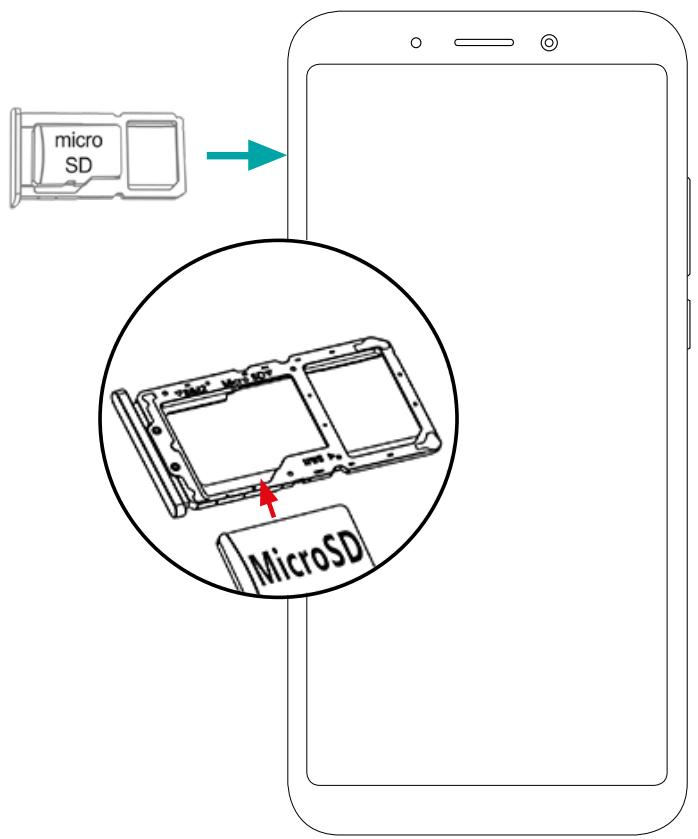 micro SD MicroSD