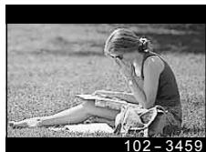 OLYMPUS TG-TRACKER - Affichage deVIDEOS - 3