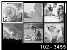 OLYMPUS TG-TRACKER - Affichage de photographies - 2