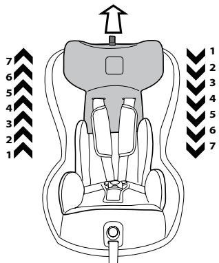 PEG PEREGO VIAGGIO DUO-FIX K - BELTED - 22