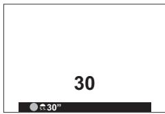 30 30"