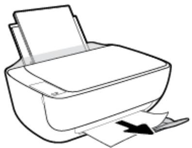 HP DESIGN Z5600 - Élimination d'un bourrage papier du bac de sortie - 1