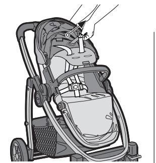 GRACO EVO XT - {Adjusting Harness Height Position} - 2