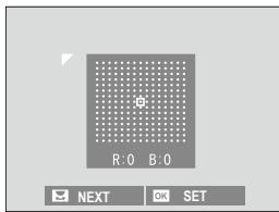 FUJIFILM X-T10 - Color Shading Correction - 1