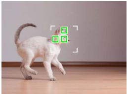 FUJIFILM X-T10 - Autofocus Options (AF Mode) - 3