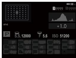 FUJIFILM X-T1 - Viewfinder - 17