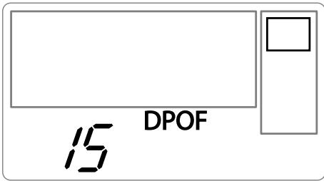 15 DPOF