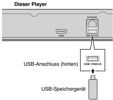 Dieser Player HOMI NETWORK USB 5V-0.5A USB-Anschluss (hinten) USB 5V-0.5A USB-Speichergerät