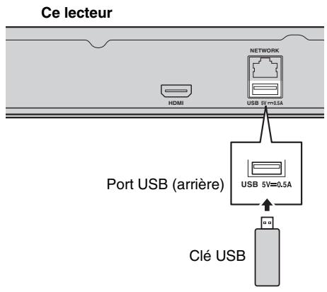 Ce lecteur HDMI NETWORK USB 5V=0.5A Port USB (arrière) USB 5V=0.5A Clé USB