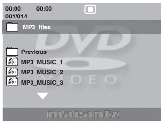 MARANTZ DV4003 - Inserire un disco. - 1