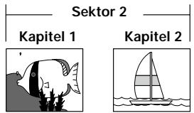 PIONEER DV-575A - DVD - 2