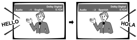 PIONEER DV-575A - Mehrfach-Sprachenfunktion (Seite 31) - 1
