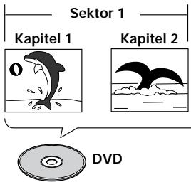 PIONEER DV-575A - DVD - 1