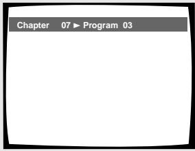 PIONEER DV-575A - Erstellen eines Kapitelprogramms mit ihren bevorzugten Abschnitten einer Disc während der Wiedergabe - DVD/Video-CD/CD - 1