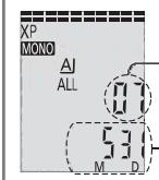 PANASONIC RN 502 - Mogelijkheden tijdens de weergave - 1
