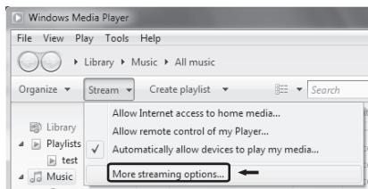 TEAC AI101DA - Setting Windows Media Player 12 - 1