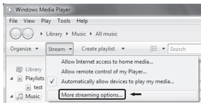 TEAC AI101DA - Configurar Windows Media Player 12 - 1