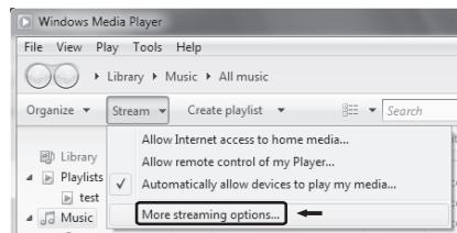 TEAC AI301DA - Configurar Windows Media Player 12 - 1