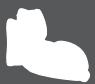 GRACO CLICK CONNECT - 2-B Car Seat Features - 7