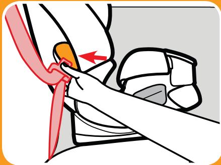 GRACO CLICK CONNECT - Review your vehicle's owner manual for vehicle seat belt use - 1