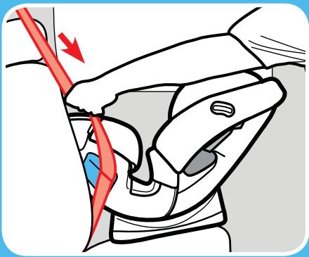 GRACO CLICK CONNECT - Tighten the Vehicle Seat Belt - 2