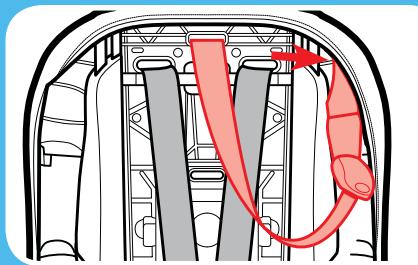 GRACO CLICK CONNECT - Decline the Car Seat - 2
