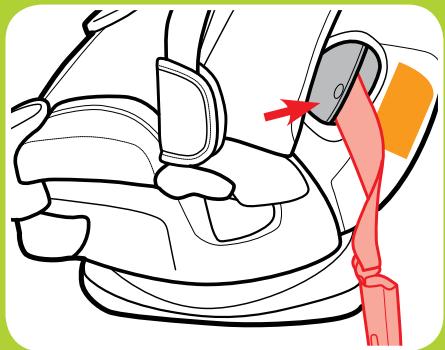 GRACO CLICK CONNECT - If Using LATCH, Make Sure LATCH Strap is in the Forward-Facing Belt Path - 1