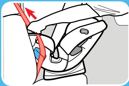 GRACO CLICK CONNECT - Tighten the Vehicle Seat Belt - 3