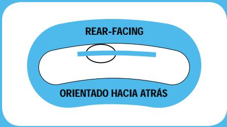 GRACO CLICK CONNECT - Extend the LATCH Strap. - 4