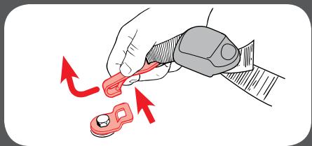 GRACO CLICK CONNECT - Top Tether - 2