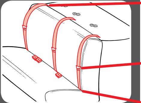 GRACO CLICK CONNECT - 8-F Cinturones de seguridad del vehiculo - 1