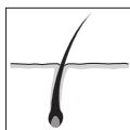 REMINGTON BKT4000 SMOOTH&SILKY - Hvad kan du forvente af i-Light? - 2