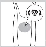 PHILIPS HC7460/15 - Byta ut rengöringsborstuvudet - 2