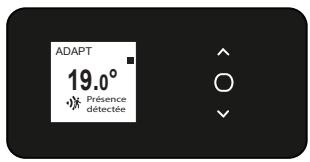 ADAPT 19.0° Présence détéce