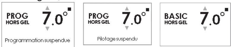 SAUTER GORELI - Position Hors Gel - 1
