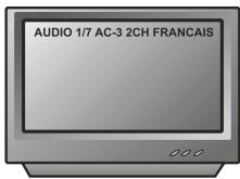 PEEKTON 6024 & PK 6024,MV - Fonction AUDIO - 2